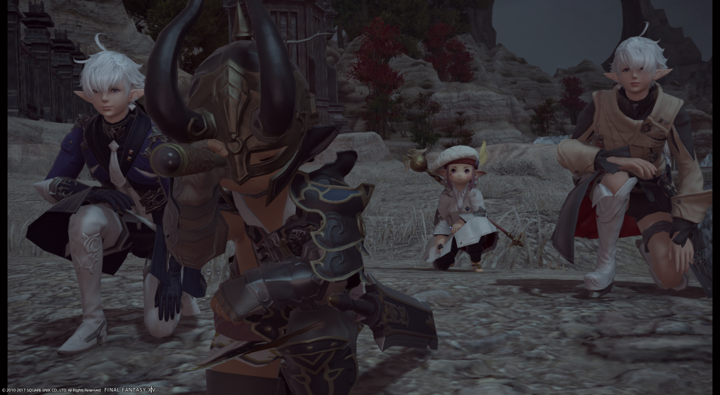 ffxiv_06182017_225736.png