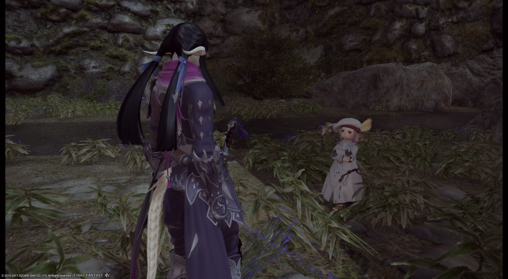 ffxiv_06292017_213113.png