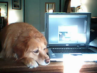 goldie-desk001.jpg