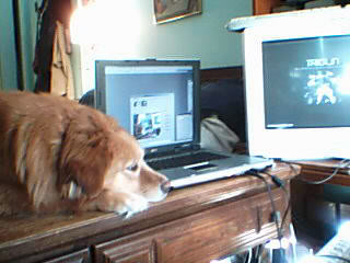 goldie-desk003.jpg