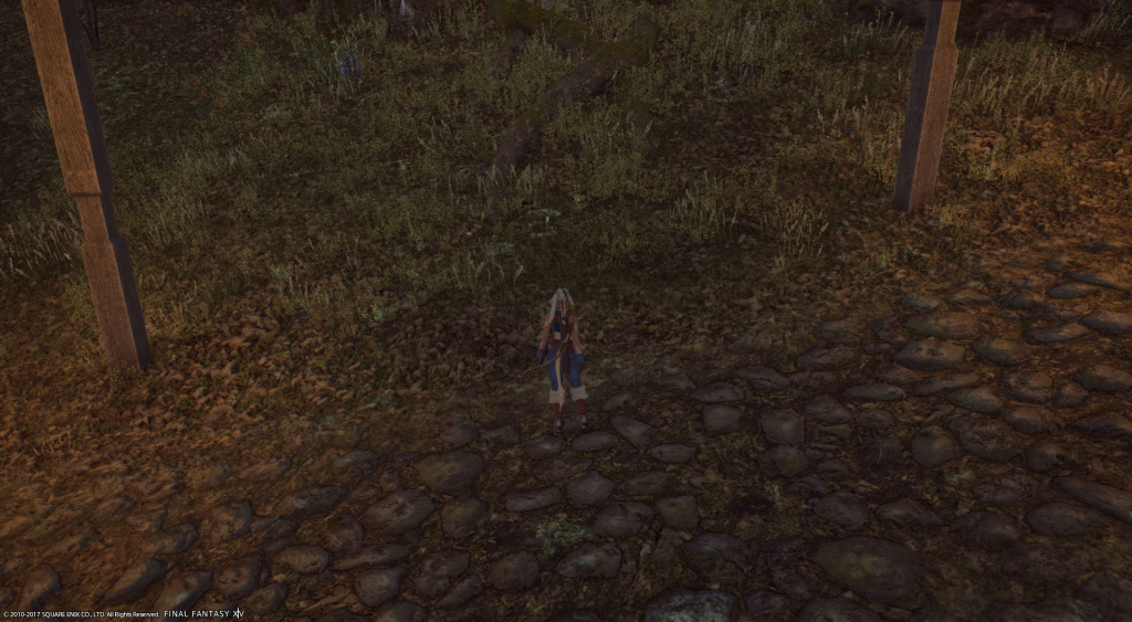 ffxiv_05252017_191949.png