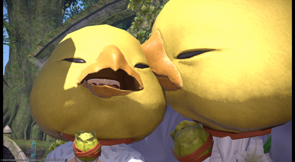 ffxiv_07152018_054244.png