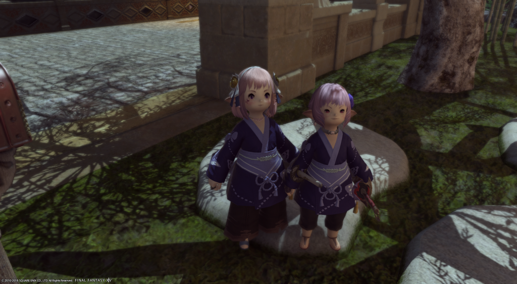 ffxiv_09062018_224925.png